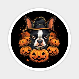 Boston Terrier Halloween Magnet